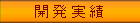 開発実績